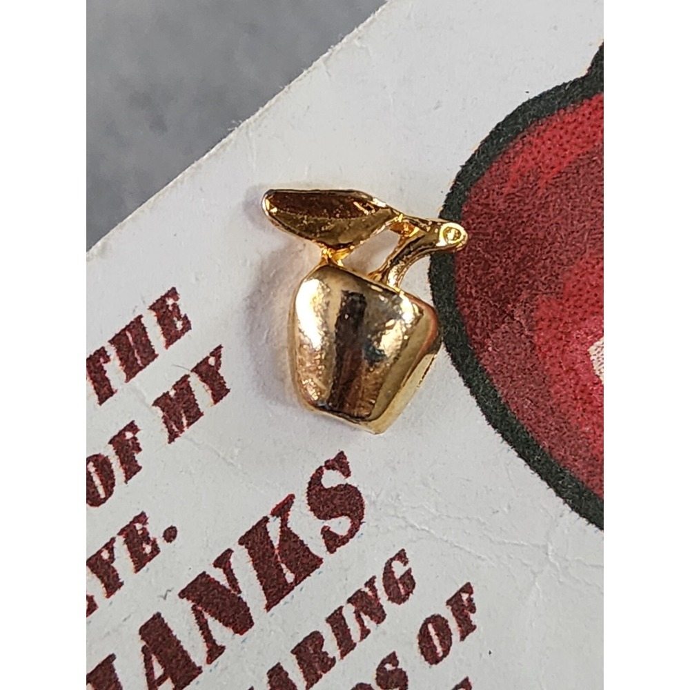 'You Are the Apple of My Eye' Teacher Appreciation Gold Plate Lapel Pin Brooch